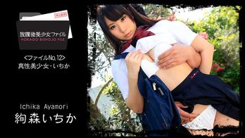 heyzo-1060 放課後美少女ファイル No.12～真性美少女・いちか～