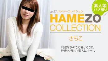 heyzo-0326 HAMEZO～ハメ撮りコレクション～vol.17
