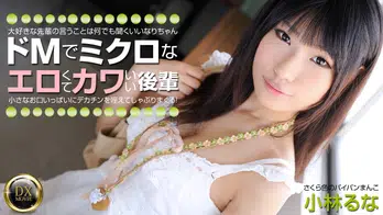 heyzo-0325 ドMでミクロなエロカワ後輩をプチ調教