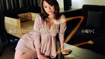 heyzo-0301 Z～絶品エロカワボディを巨根が突く～