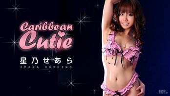 100810-502 カリビアンキューティー Vol.16