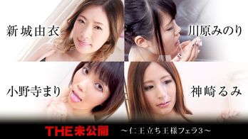 120320-001 THE 未公開 ～仁王立ち王様フェラ3～