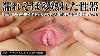 111315_528 人妻マンコ図鑑 41