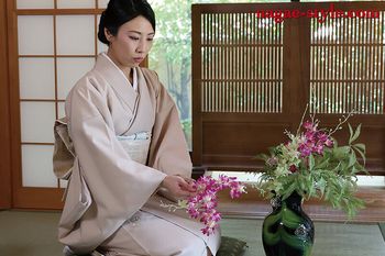 NSFS-312 熟母29 ～息子に言えない私のふしだらなアソコ～ 岡西友美